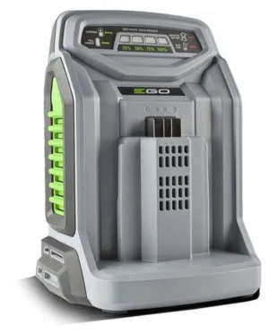 מטען מהיר לסוללות 56V