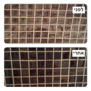 Alternative view of תרכיז מקצועי לניקוי מלט ורובה 1 ליטר לפוגות