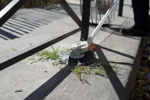 Alternative view of אביזר ראש כיסוח עשביה ליחידת מנוע משולב STIHL