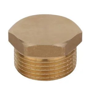פקק תבריג 1/4" לאוויר