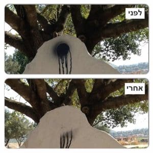 Alternative view of מסיר צבע + מסיר דבק - תכולה 500 מ״ל