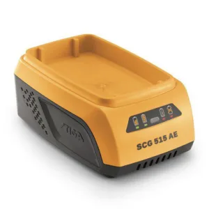 מטען רגיל 48v סדרה 500 דגם 50797