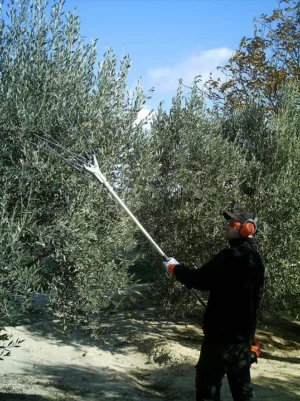 Alternative view of מנערת זיתים מנוע בנזין משולב 85 25.4 סמ״ק למסיק זיתים 0000-100-8010