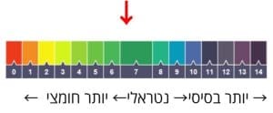 חומר ניקוי אמולסיו ווקס טבעי להברקת משטחים LA CERA - תכולה 725 מ"ל – תמונה 4
